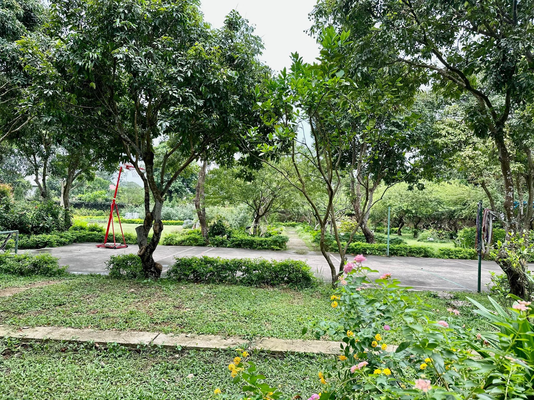 BLUE MOUNTAIN VILLA - SÓC SƠN 10 346124983 9738985649475310 5158141868131721391 n