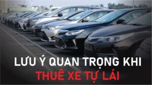 Thuê xe theo ngày, theo tour - Giải pháp di chuyển linh hoạt và tiết kiệm cho chuyến đi của bạn 1 dich-vu-thue-xe-theo-ngay